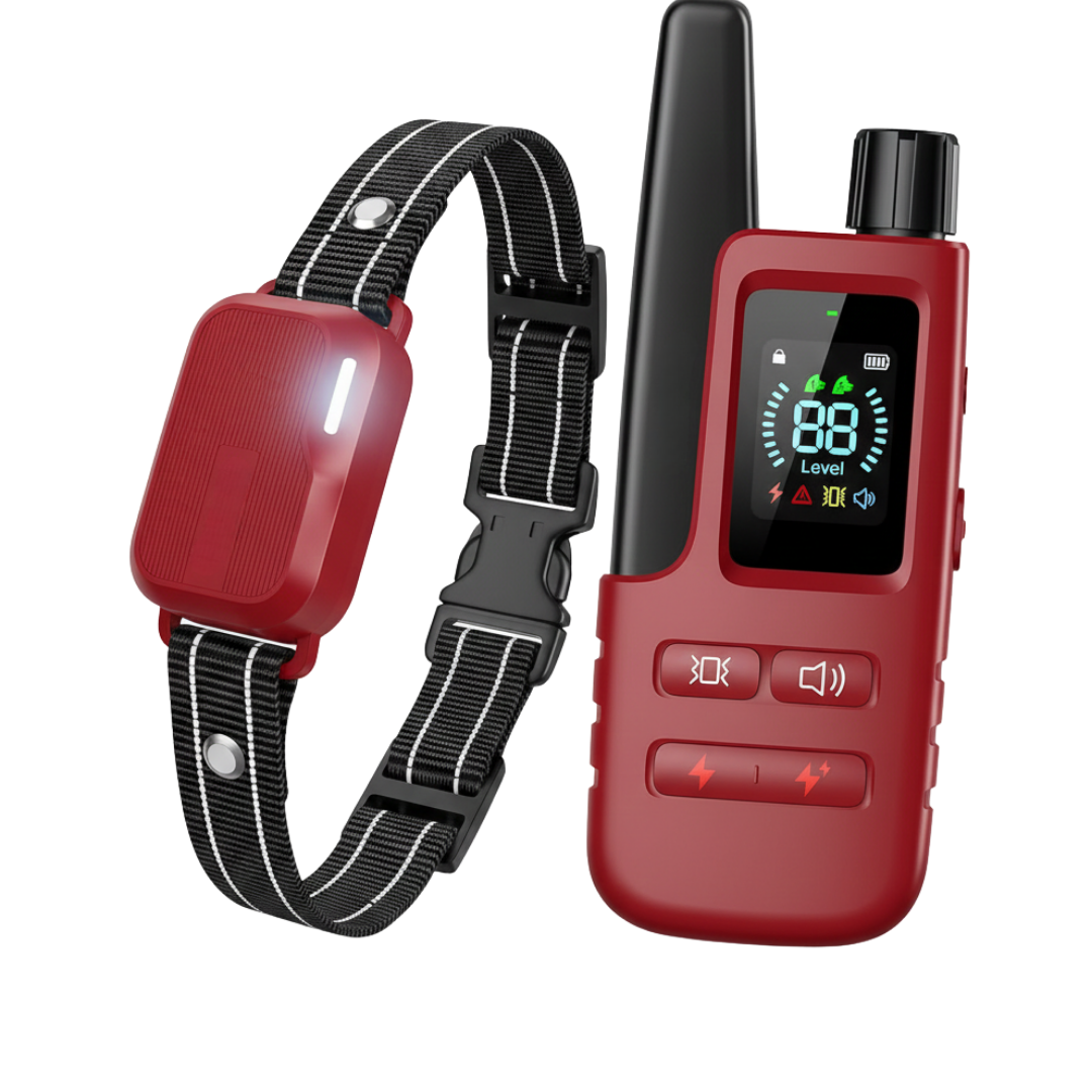 Dog Training Collar with Remote Control and Adjustable Strap