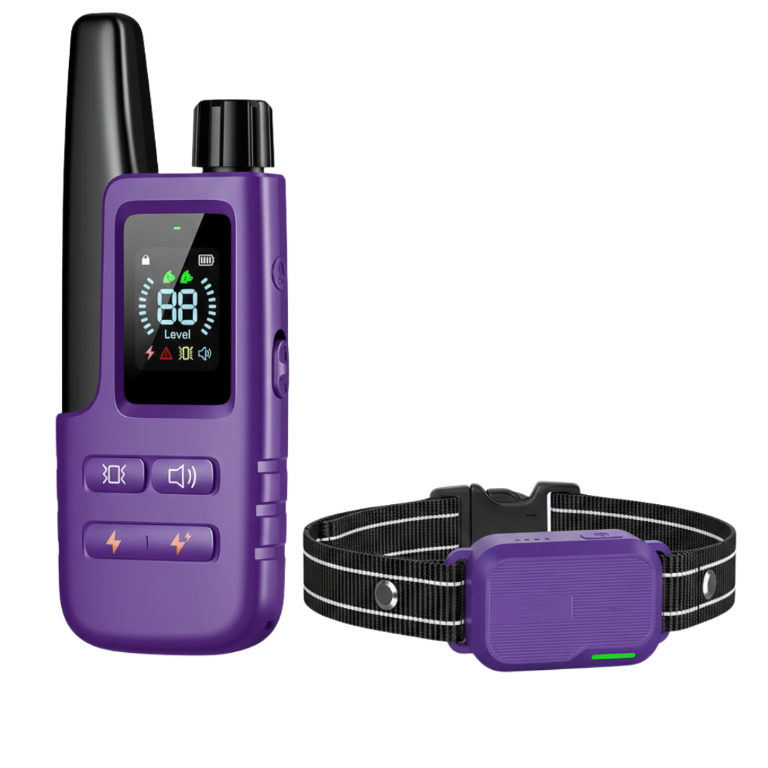 Dog Training Collar with Remote Control and Adjustable Strap