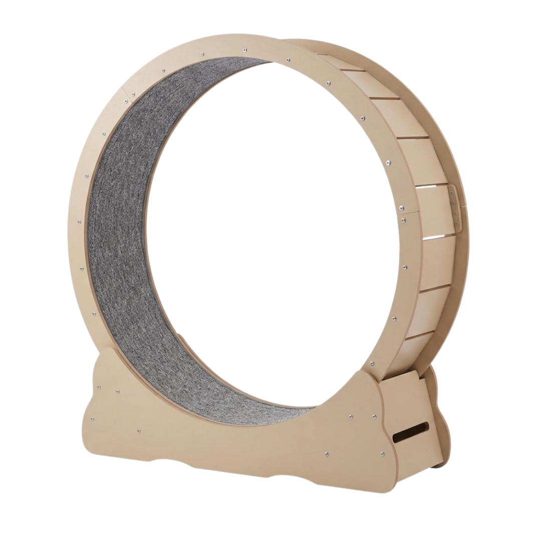 Indoor Cat Exercise Wheel with Locking Base and Detachable Mat