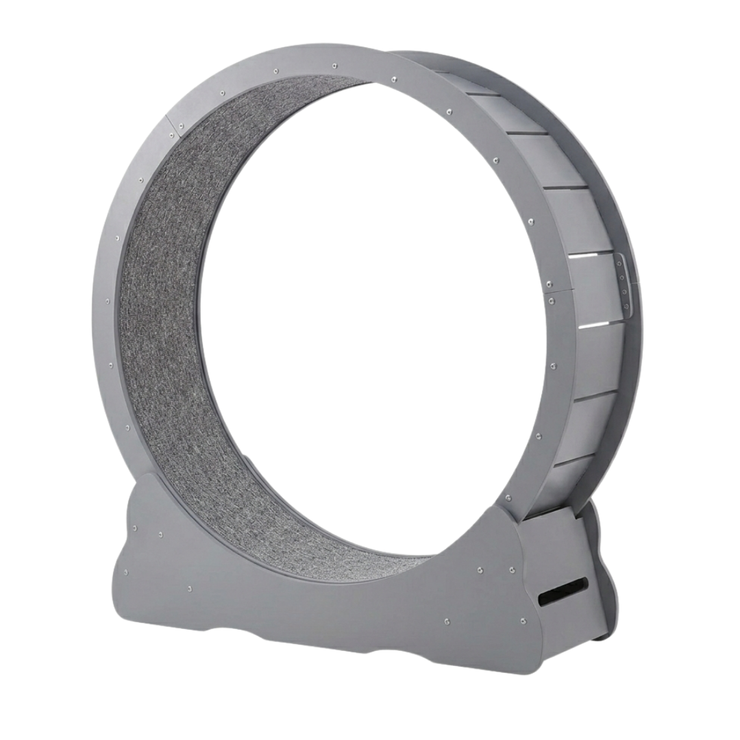 Indoor Cat Exercise Wheel with Locking Base and Detachable Mat