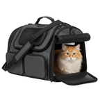 Pet Travel Carrier with Mesh Panels and Pockets for Small Cats & Dogs