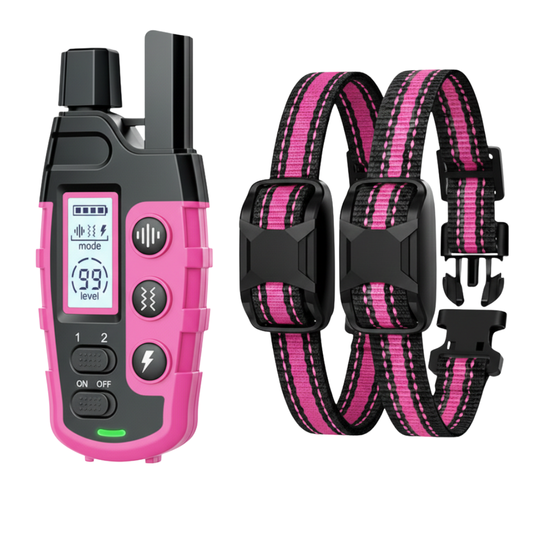 Two Dog Training Collar Set with Dual Channel Remote Control