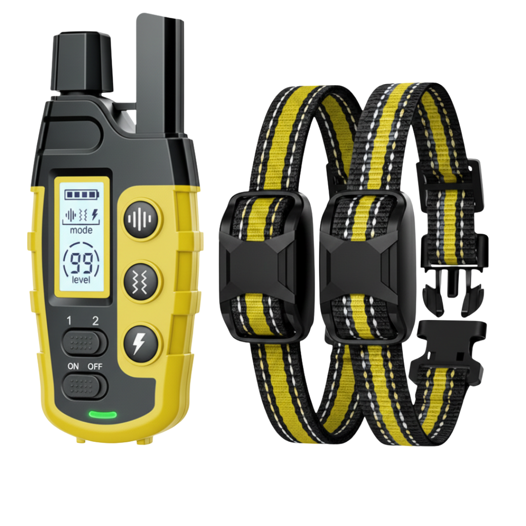 Two Dog Training Collar Set with Dual Channel Remote Control